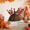 WODOHOLO Thanksgiving Decor - Wooden Turkey Lollipop Holder and Cake