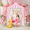 3Pcs Carnival Party Decorations - Pink Circus Theme Party Striped