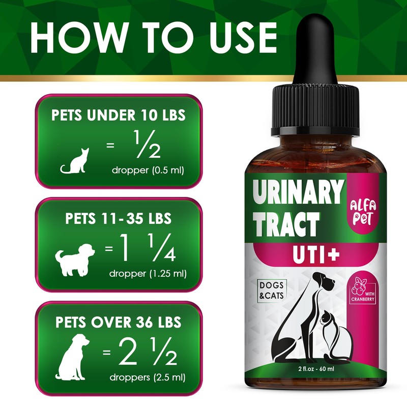 Сat Urinary Tract Infection Treatment with Cranberry – Dog UTI