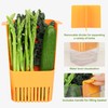 LUVCOSY Fresh Herb Keeper for Refrigerator, Clear BPA-Free Herb Saver,