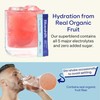 Blueshift Blueshift Electrolytes - Natural Electrolytes Powder Packets, Organic Hydration
