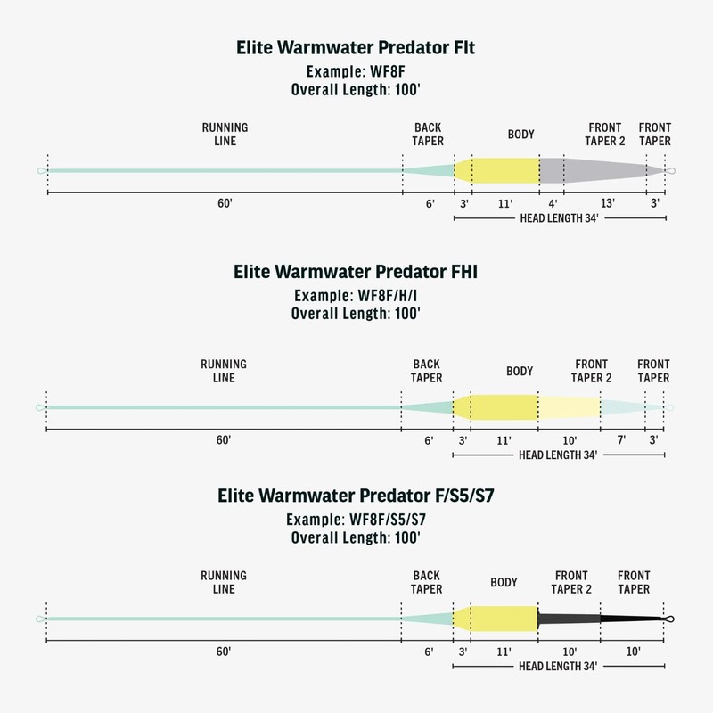 RIO Products Elite Warmwater Predator WF6F Freshwater Fly Line Designed