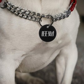 TEHAUX 25pcs Aluminum Blank Tags, 35mm Blank Dog Pet Tags Round Black Pet ID Tag Round Discs with Hole for Engraving Name