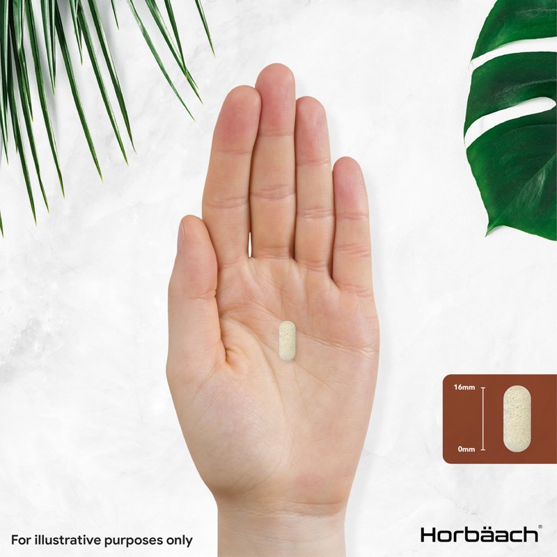 Lions Mane Supplement 5000mg | with Black Pepper & Pantothenic