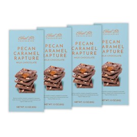 Ethel M Chocolates Sea Salt Milk Chocolate Gourmet Tablet Bar 85g, Small Batch of Premium Milk Chocolate with Smooth and 100% Artisanal Pecan Caramel Fillings