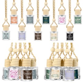 Funnymoom 30 Pcs Team Gifts Bulk Appreciation Gift Car Air Freshener Diffuser Hanging Car Empty Glass Essential Oil Diffuser Christmas Thank You Gifts for Employee Coworker Teachers Staff (Employees)