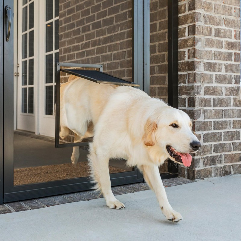 PetSafe Dog Door for Screen Door Size Large for Dogs