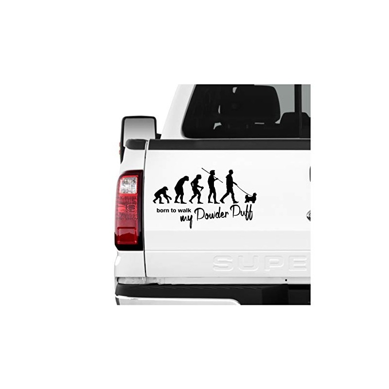 Siviwonder Powder Puff Powder Puff Crested Dog Evolution Car Sticker