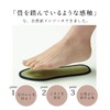 Ikehiko Corporation 4956642731351 Insole, Made with Rush Insole, Navy, 10.2