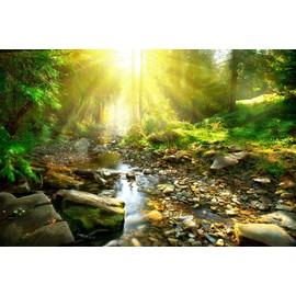 ART.COM Wall Art Prints Mountain River With, Forest Landscape. Tranquil Waterfall Scenery in the Middle of Green Forest by Subbotina Anna, Scenic Decor, 24" x 16"