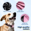 PawView Leather Padded Dog Collar & Smart AirTag Holder- Soft