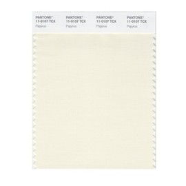 PANTONE Smart 11-0107X Color Swatch Card, Papyrus