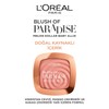 L'OrÃ©al Paris Melon Dollar Baby Blush 03 Watermelon Addict, 1er