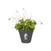 elho Loft Urban Green Wall Pot Single 15 - Flower