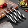 Corer and Pitter Set of 4, Multi-Function Corer and Pitter