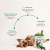 B-Pet Gastro Aid - Probióticos para Perro con Inulina