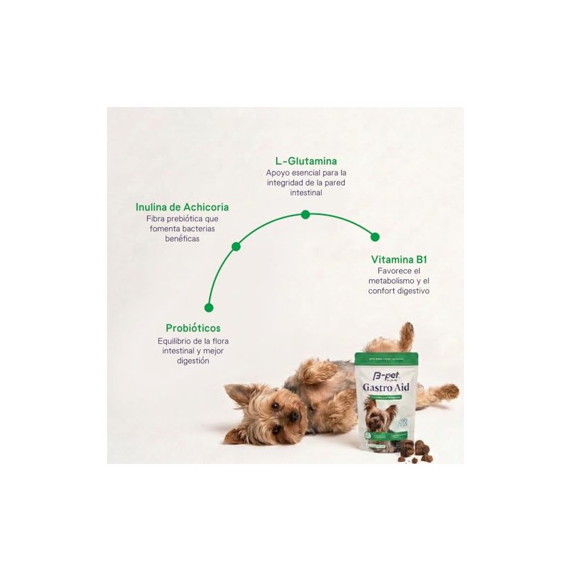 B-Pet Gastro Aid - Probióticos para Perro con Inulina
