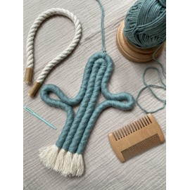 Enia Store Macrame Cactus Wall Hanging Crafts Kit (Sage)