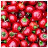 Everwilde Farms - 1/4 Lb Red Cherry Hots Hot Pepper