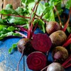 The Old Farmer's Almanac Heirloom Beet Seeds (Detroit Dark Red)