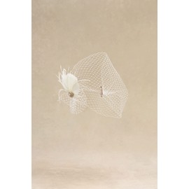 BABEYOND BABEYOND Veil Fascinator Hat for Women Feather Fascinators Hair Clip with Removable Veil Tea Party Hat Bridal Wedding White