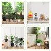 Metal Plant Stands, Anti-Rust Iron Flower Pot Stand, Heavy Duty