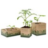 Recycled Paper Pots For Seedlings - Size: 3 inch Paper