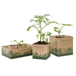 Recycled Paper Pots For Seedlings - Size: 3 inch Paper Pots (6-pack)