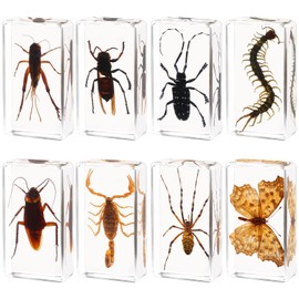 Large Size 8 Pcs Insect in Resin Specimen Bugs Taxidermy Collection, Resin Preserved Specimen Set, Durable Resin Insect Specimen for Science, Education,Nature Study and Home Decor