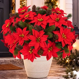 20 Pcs Christmas Poinsettia Flowers Artificial Pine Stems with Pinecone