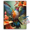Offito Paint by Numbers Kit for Adults- Hummingbird Adult Paint