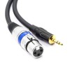 Disino XLR to 3.5mm (1/8 inch) Stereo Microphone Cable for