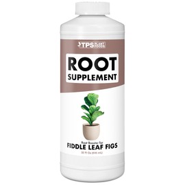 Root Supplement for Fiddle Leaf Figs, Stimulate and Propagate Healthy Fig Tree Roots with Probiotics and Seaweed, Liquid Plant Fertilizer 32 oz (1 Quart)