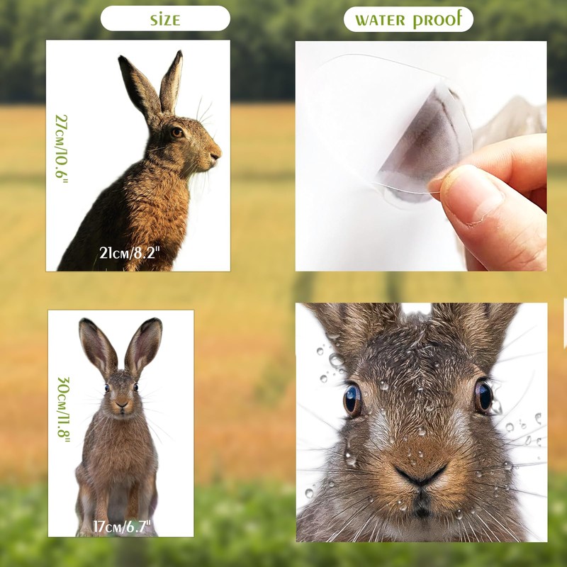 2 Pcs Surprised Bunny - Funny Surprised Bunny Cute Window