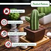 Lively Breeze Maxi Cactus, Non-Electric Ceramic Diffusers for Essential Oils