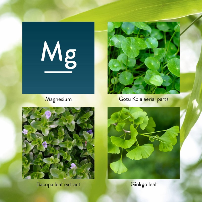 Nature's Sunshine Mind-Max 90 Capsules