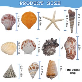 VBNZBK Decorative Shells and Starfish, 3-12 cm, 520 g, Starfish, Beach Shells, Crafts, Large for Vase Fillers, Beach Theme Party, Wedding Decor, DIY Crafts, Fish Tank (Style 2)