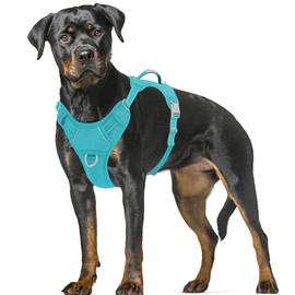 BARKBAY No Pull Dog Harness Large Step in Reflective Dog Harness with Front Clip and Easy Control Handle for Walking Training Running with ID tag Pocket