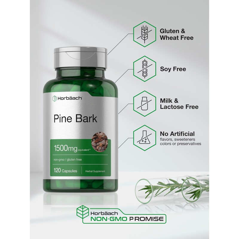 Horbäach Pine Bark Extract Capsules |120 Count | Non-GMO and