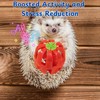 1pcs Hedgehog Hideout Tunnels with 2pcs Bell Ball Toys, Hedgehog