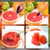 3pcs Serrated Grapefruit Spoons and Knife Set, Stainless Steel Grapefruit
