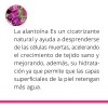 Crema Post Operación Cicatrizante Abdominoplastia Acné 2 Pza