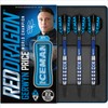 Red Dragon Gerwyn Price 18 g or 20 g Softip