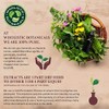 Live Plant Pea Protein Vanilla Powder by Wholistic Botanicals