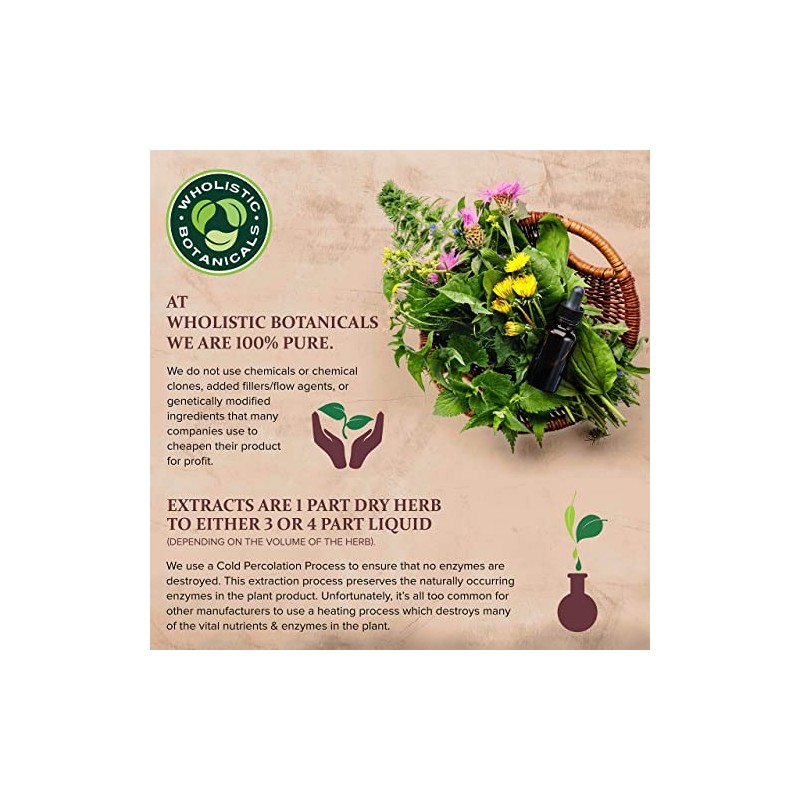Live Plant Pea Protein Vanilla Powder by Wholistic Botanicals