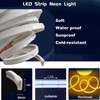dobestyou Blue Neon LED Strip Lights，5M 12V DC 600 SMD2835