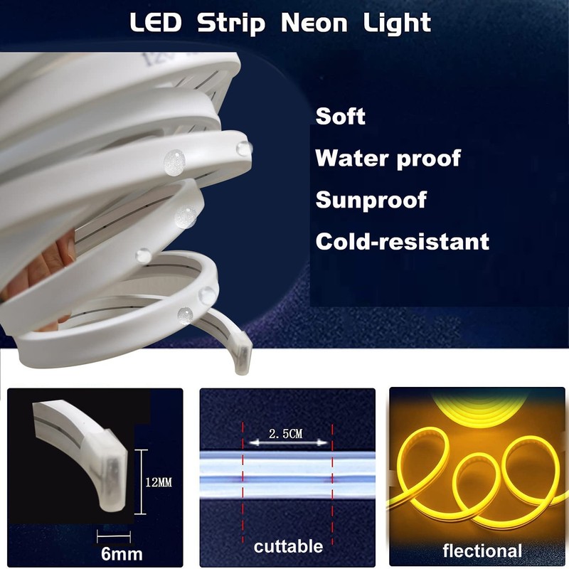 dobestyou Blue Neon LED Strip Lights，5M 12V DC 600 SMD2835