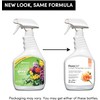 FloraLife Clear Crowning Glory - Liquid Shield Finishing Spray for