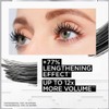 L'Oreal L'Oréal Pro XXL Volume Mascara Black