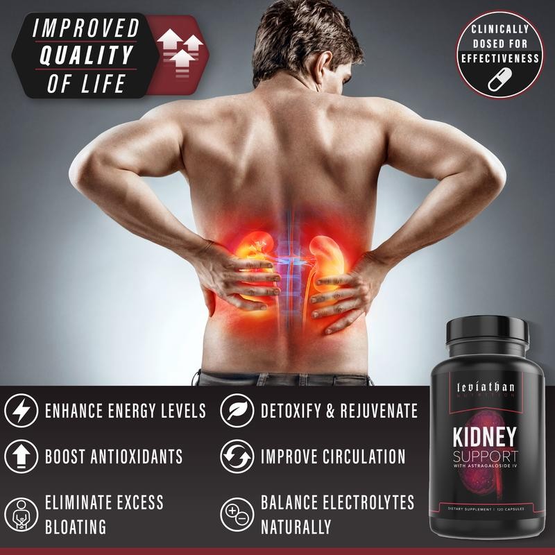 Leviathan Nutrition Kidney Support with Astragaloside IV | Optimal Kidney